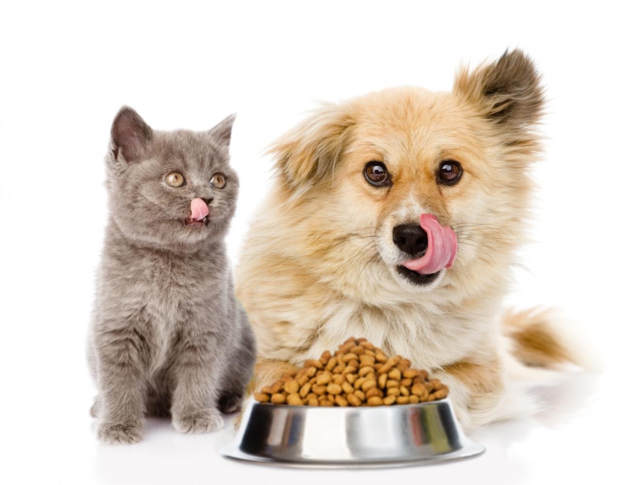 Animal & Pet Products